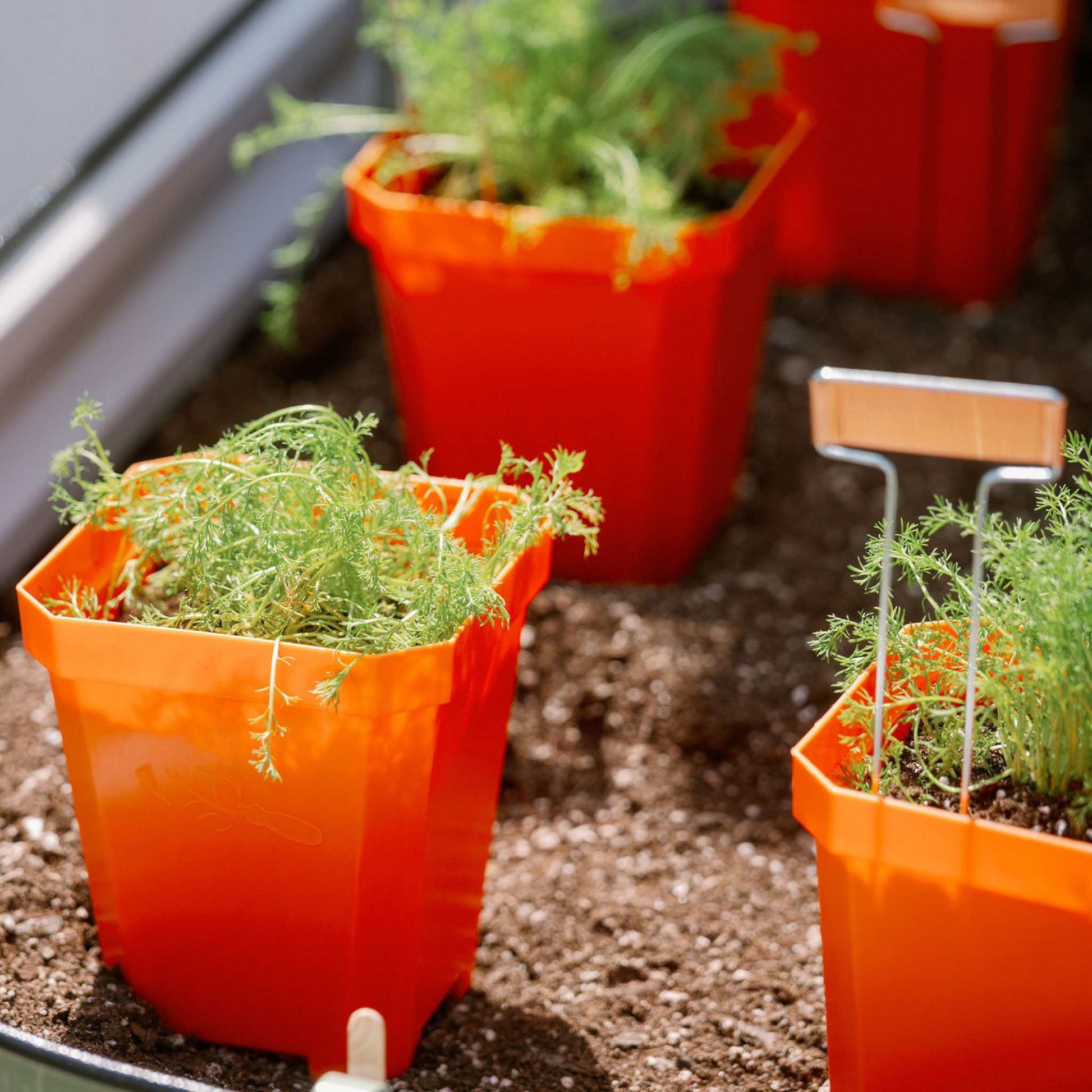 5" Nursery Pots with Insert Tray - Midwest Grow LLC