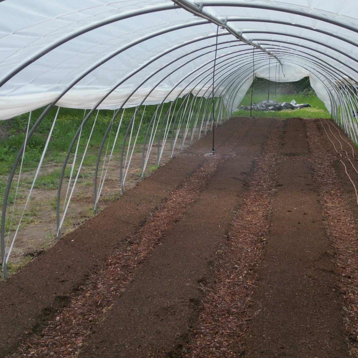 Overhead Irrigation Kit - Midwest Grow LLC