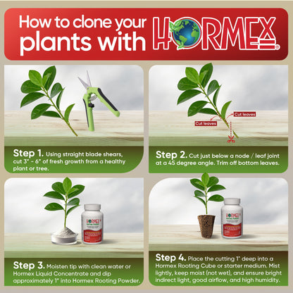 Hormex Rooting Duo: Vitamin B1 Rooting Hormone Concentrate & Rooting Powder #8 for Moderately Difficult to Root Plants