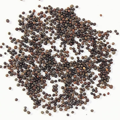 Broccoli Bargain Blend Seeds