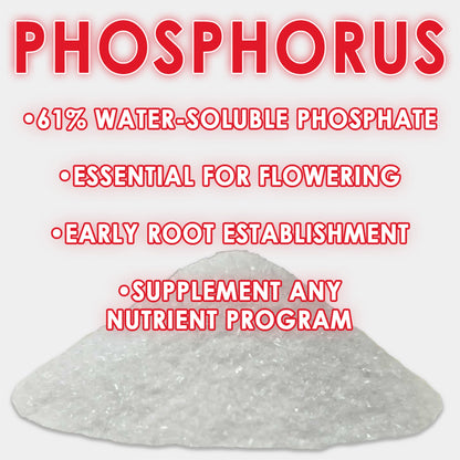 RAW Phosphorus | 61% Water-Soluble Phosphate + Ammonium Nitrogen | Bloom & Root Support - Midwest Grow LLC