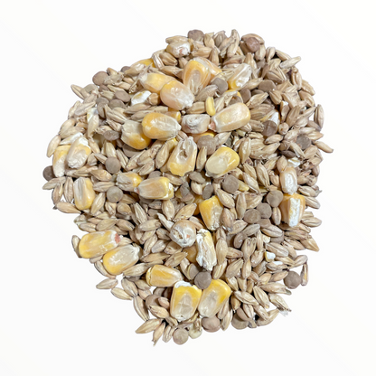 Clackamas Coots Official Gnarly Barley - Artisan Sprouted Seed Blend - Midwest Grow LLC