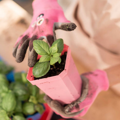 3.3" Heavy Duty Seed Starting Pots with Inserts - Midwest Grow LLC