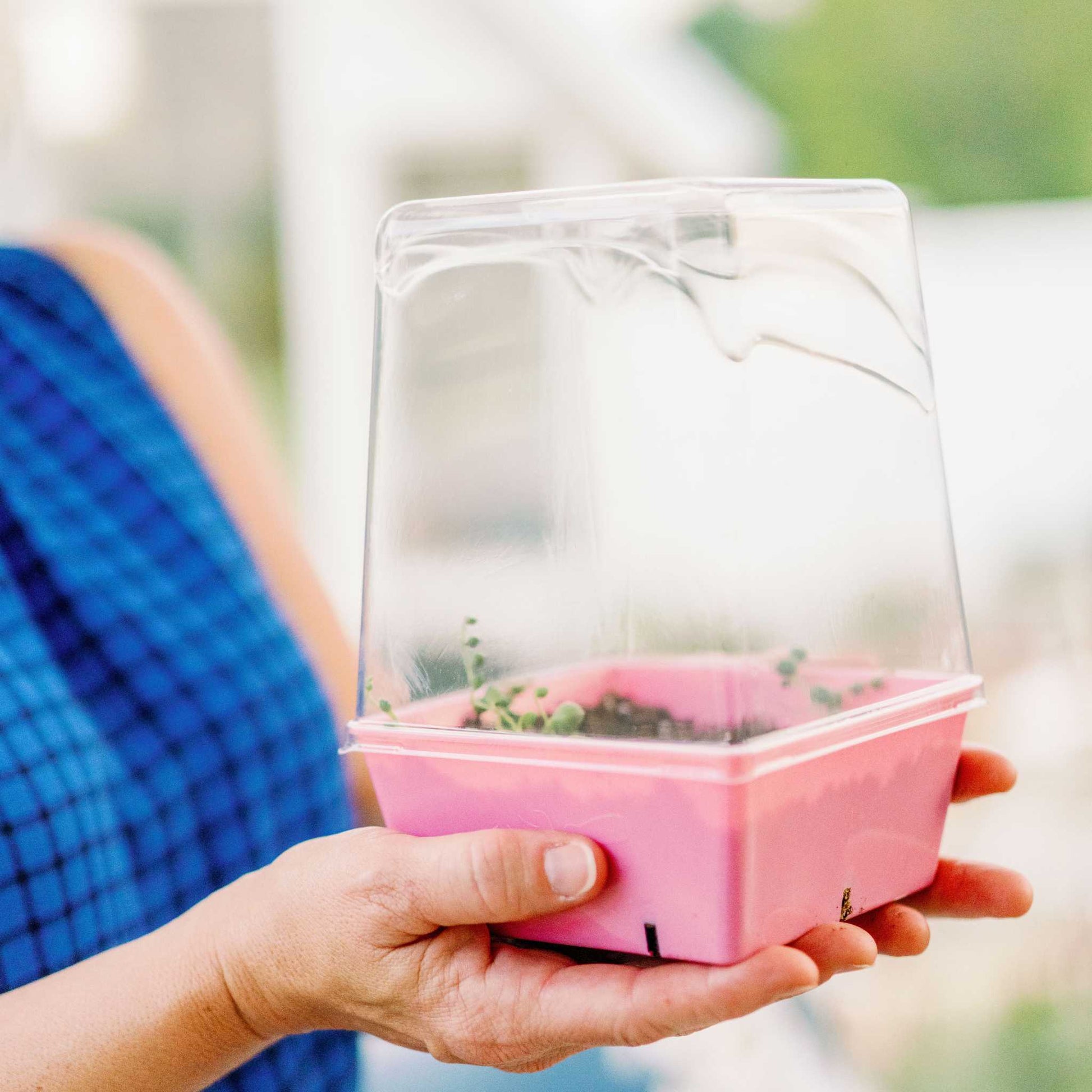 5x5 Deep Grow Tray Inserts - Midwest Grow LLC
