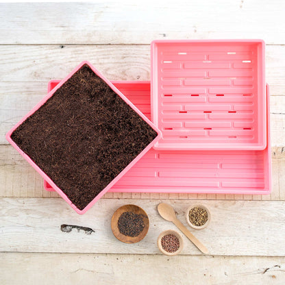 1010 Microgreens Kit