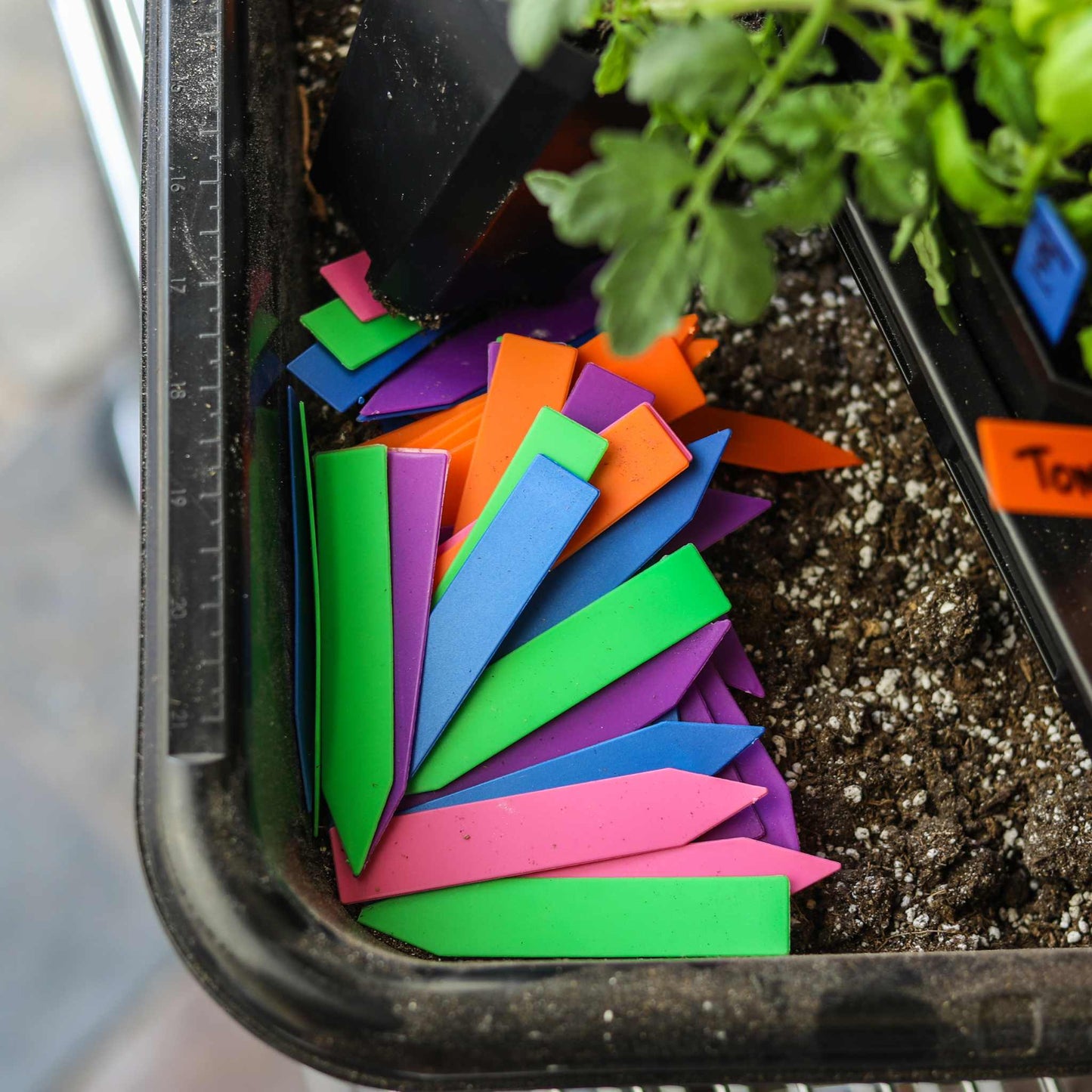 Multi-color Plant Labels | 100 count