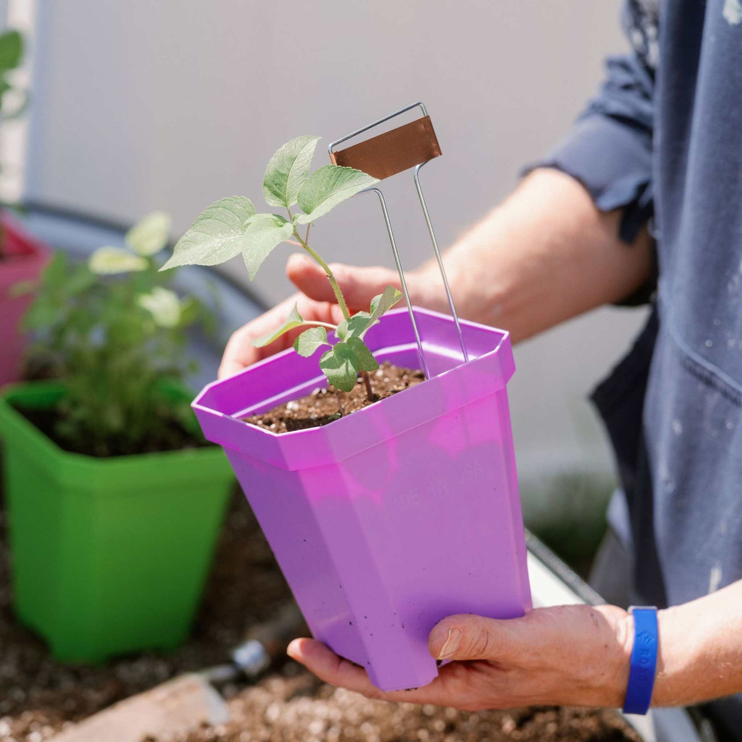 5" Nursery Pots with Insert Tray - Midwest Grow LLC