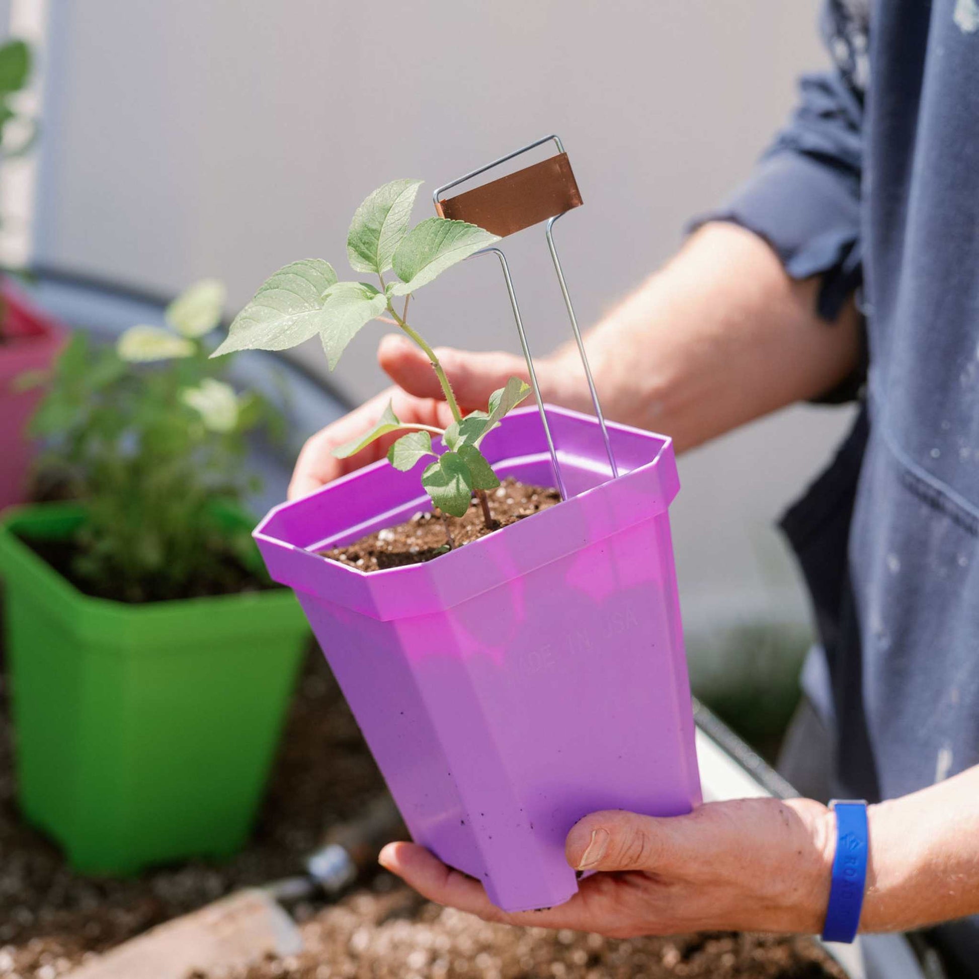 5" Nursery Pots with Insert Tray - Midwest Grow LLC