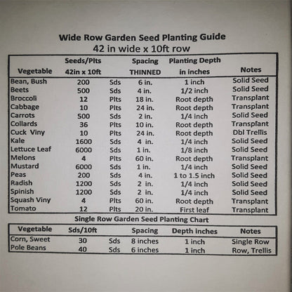 Table King Bush Winter Squash Seeds