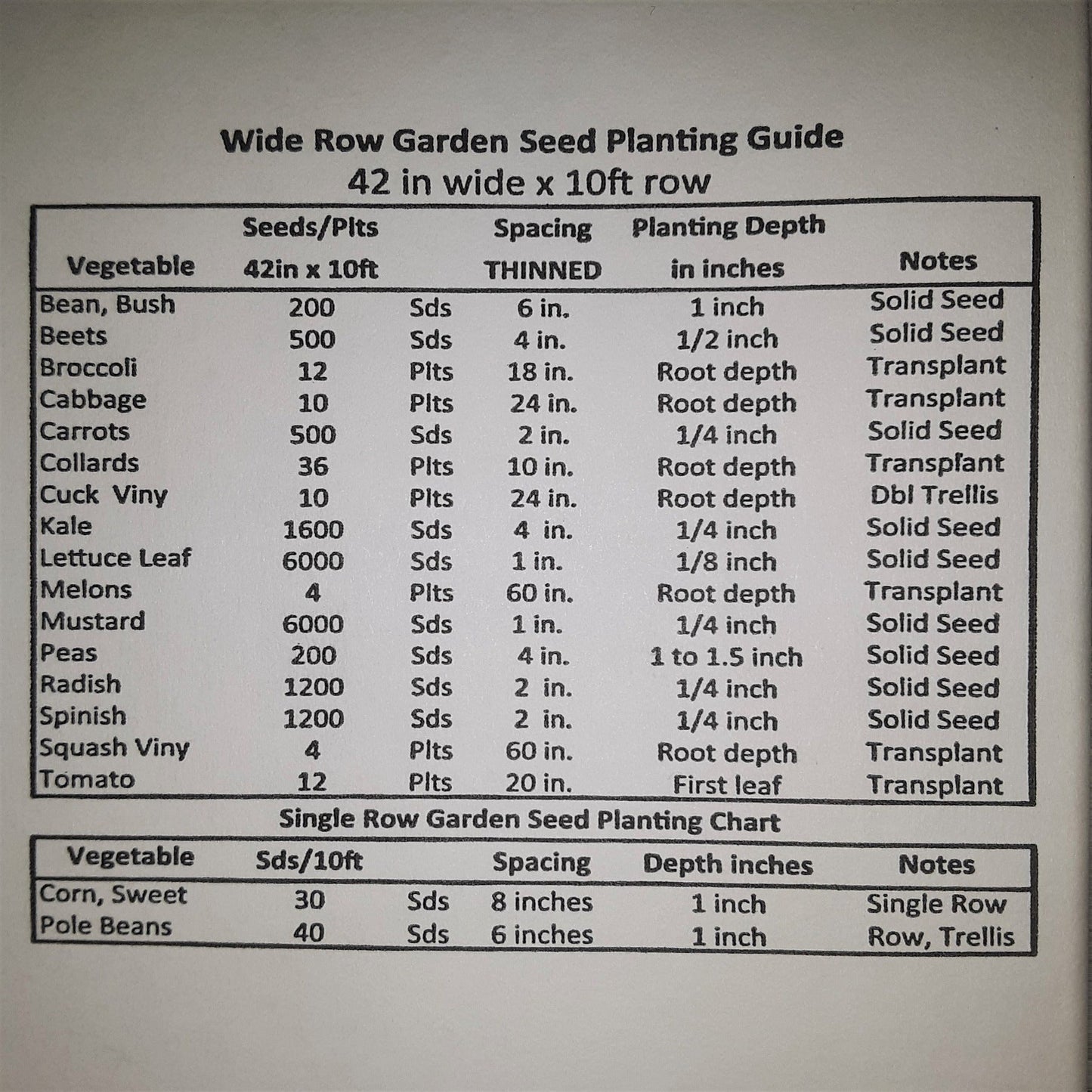Top Crop Bush Green Bean