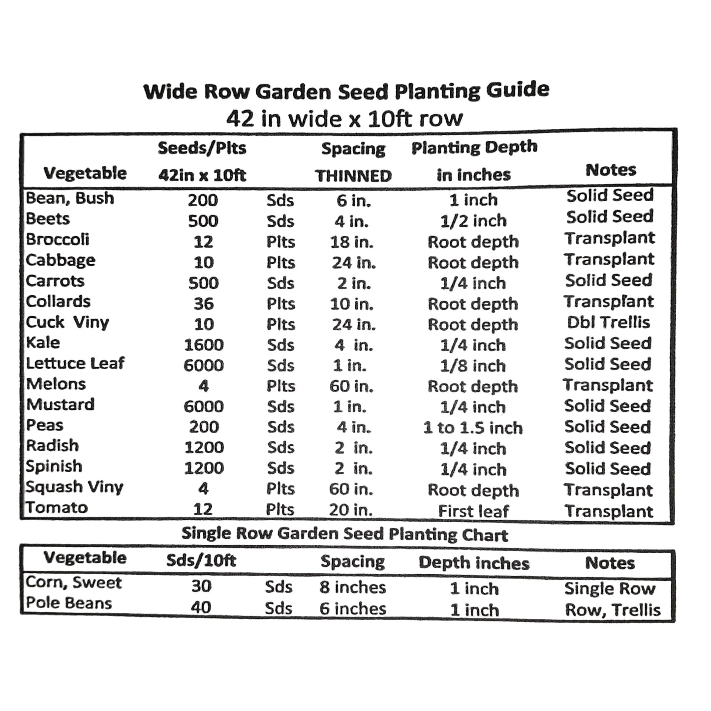 Jalapeno Orange Hot Pepper Seeds