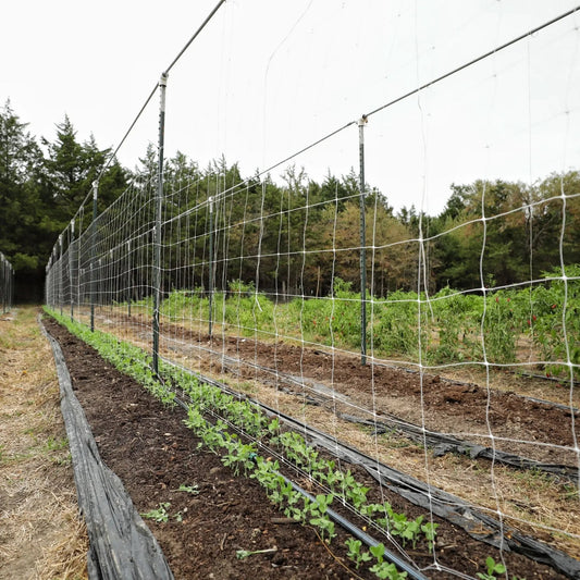 Trellis Netting | 6" Mesh - Midwest Grow LLC