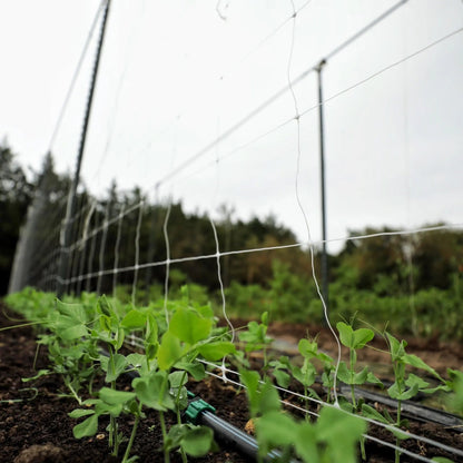 Trellis Netting | 6" Mesh - Midwest Grow LLC