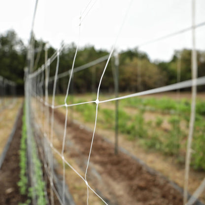 Trellis Netting | 6" Mesh - Midwest Grow LLC