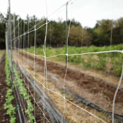 Trellis Netting | 6" Mesh - Midwest Grow LLC