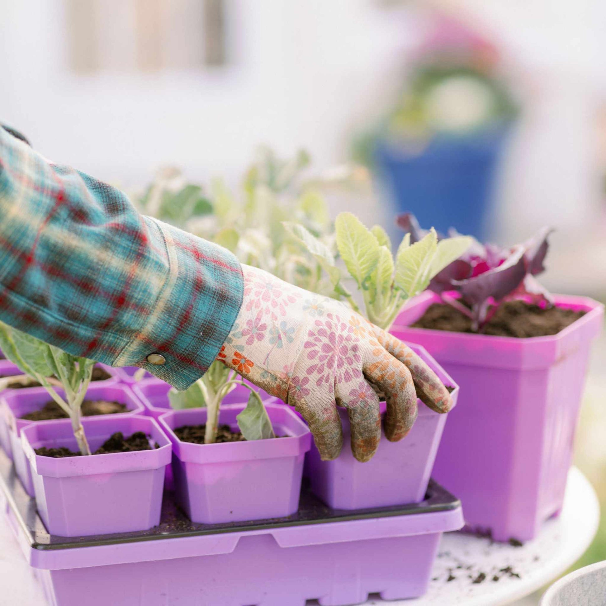 3.3" Heavy Duty Seed Starting Pots with Inserts - Midwest Grow LLC