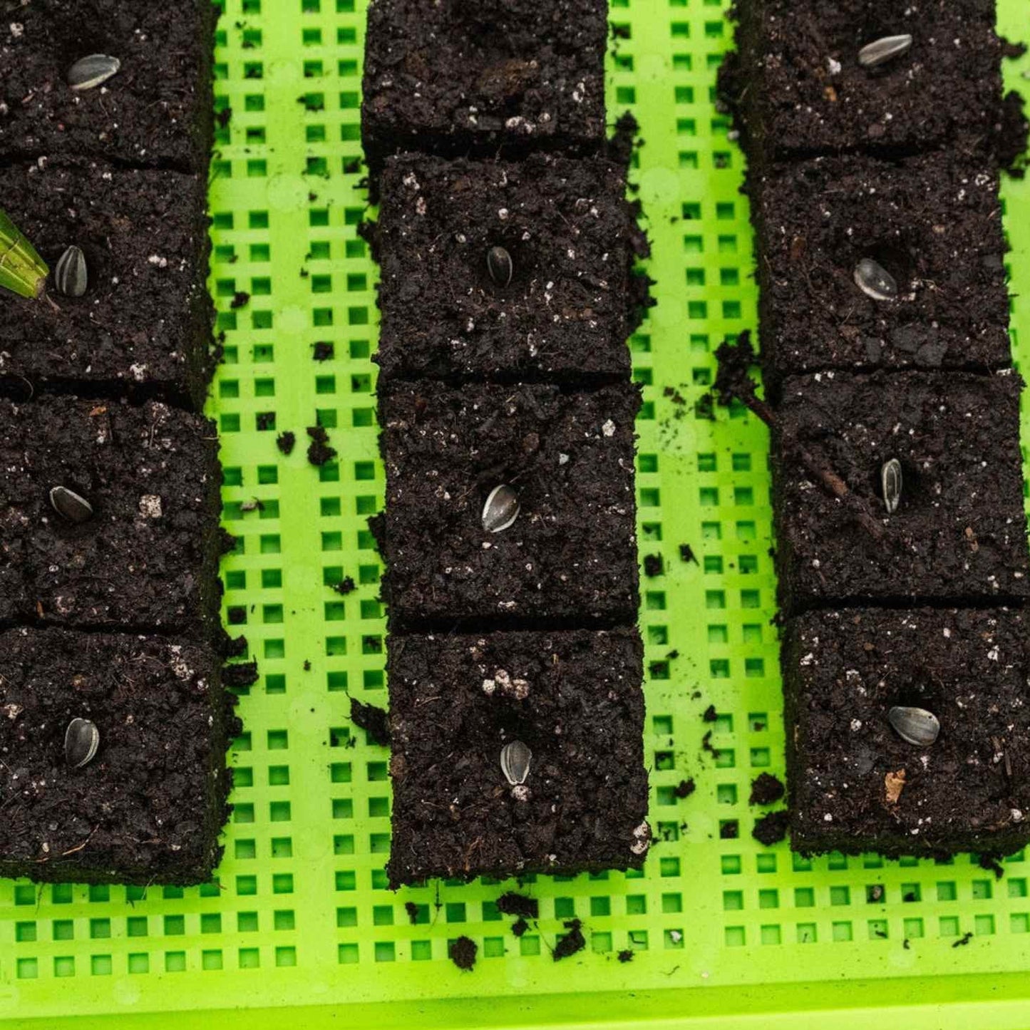 Soil Blocking Starter Kit - Midwest Grow LLC