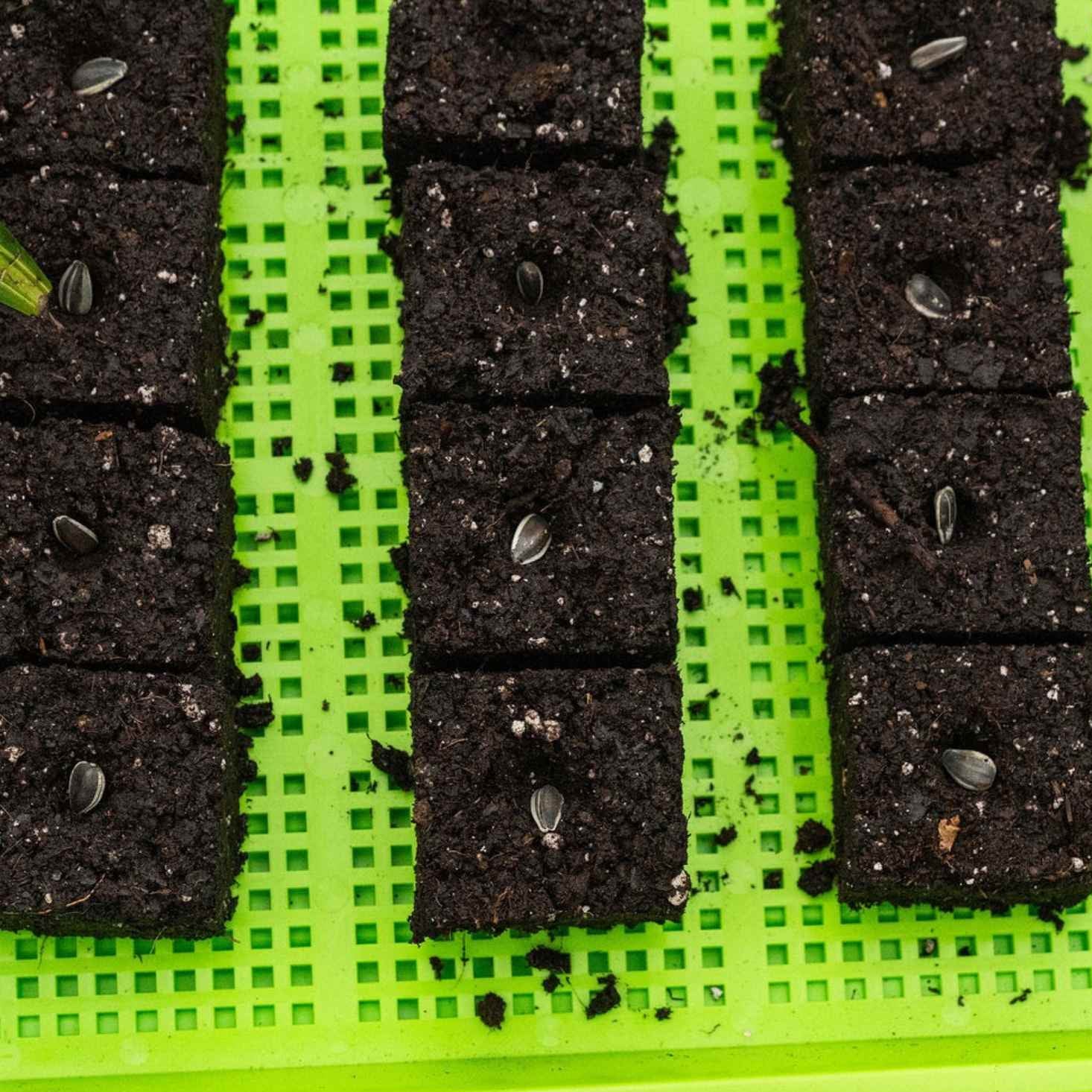 Soil Blocking Starter Kit - Midwest Grow LLC