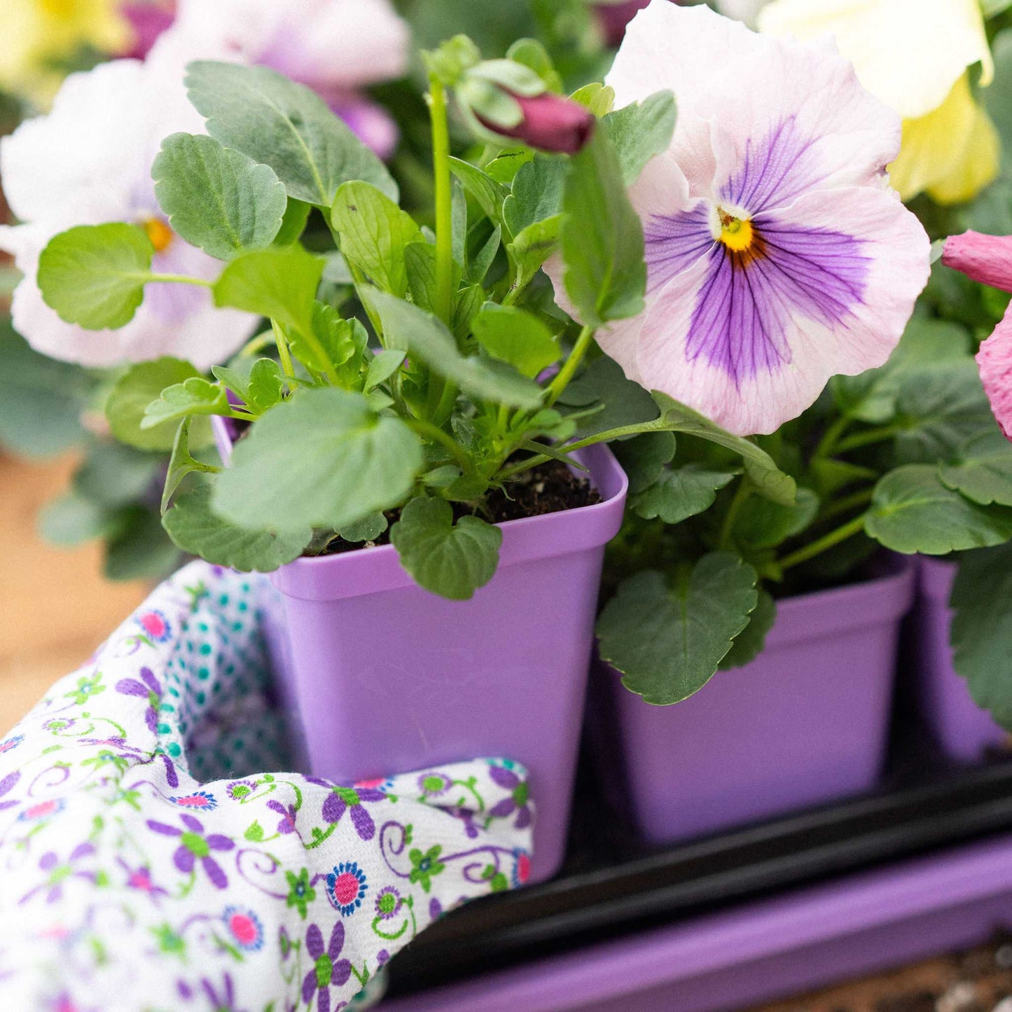 Seed Starter Pots - 2.5" Extra Strength - Midwest Grow LLC