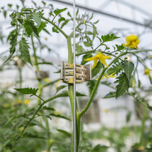 Qlipr Trellising System - Midwest Grow LLC