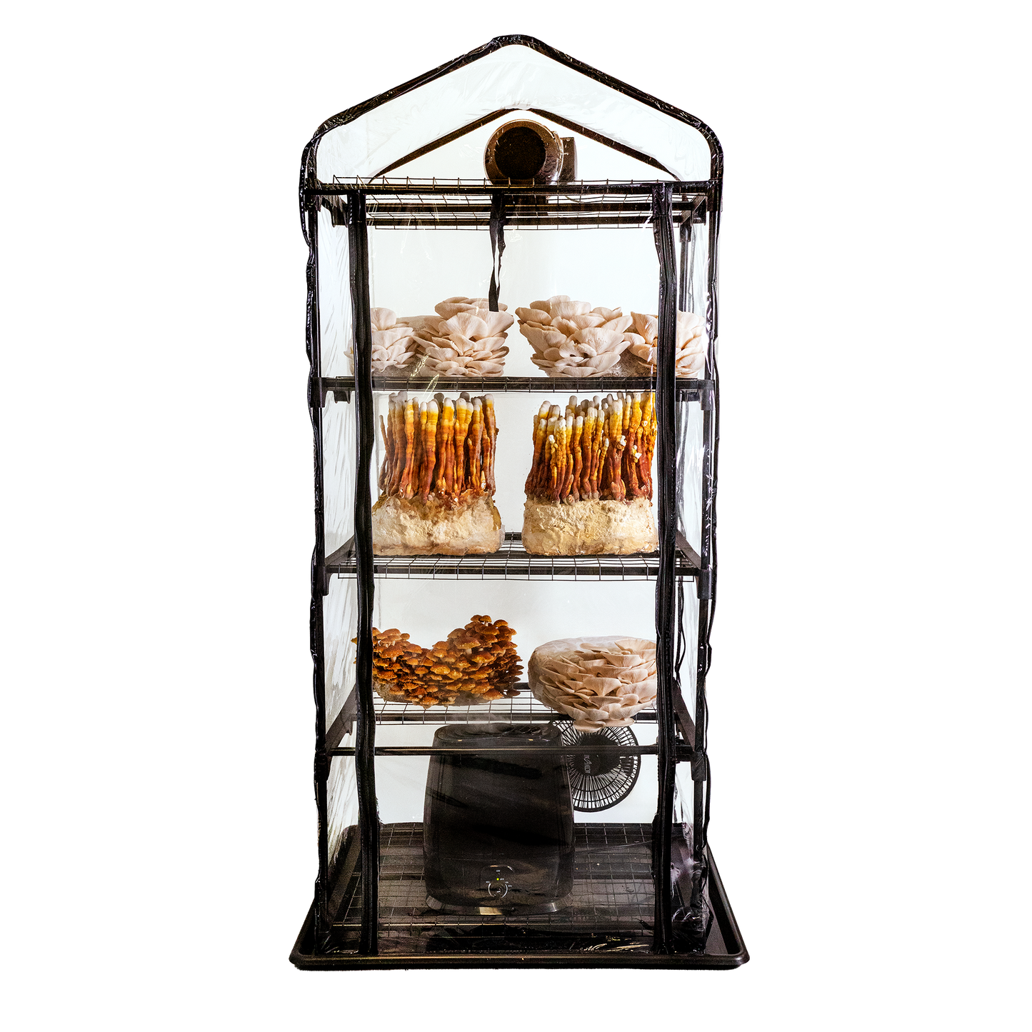 ShroomRoom: Mushroom Grow Tent - Midwest Grow LLC