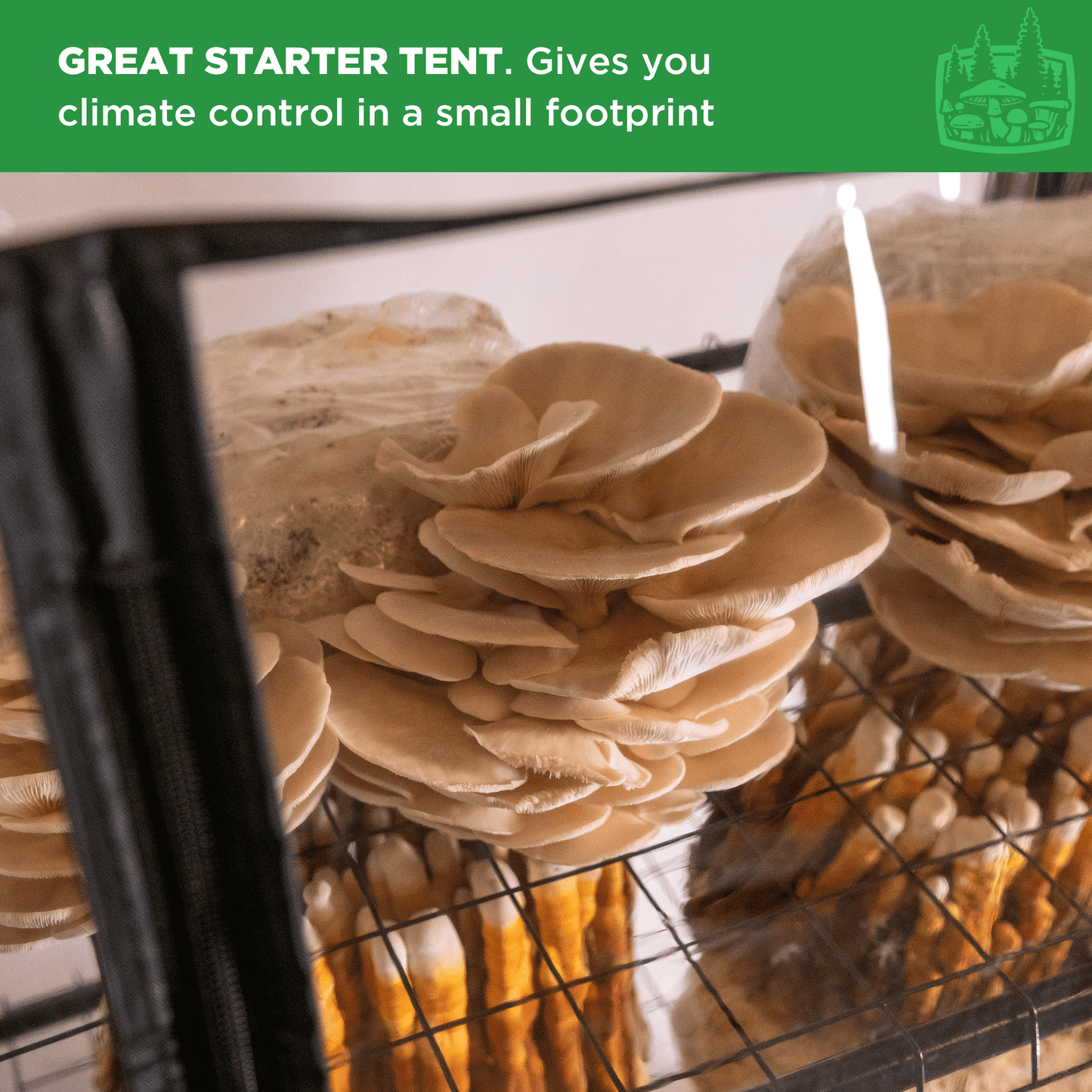 ShroomRoom: Mushroom Grow Tent - Midwest Grow LLC