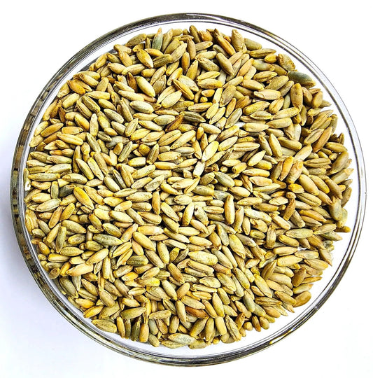 Winter Rye OG
