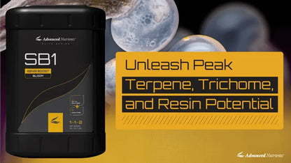 Advanced Nutrients SB1 8th Generation | Sensi Boost Terpene & Resin