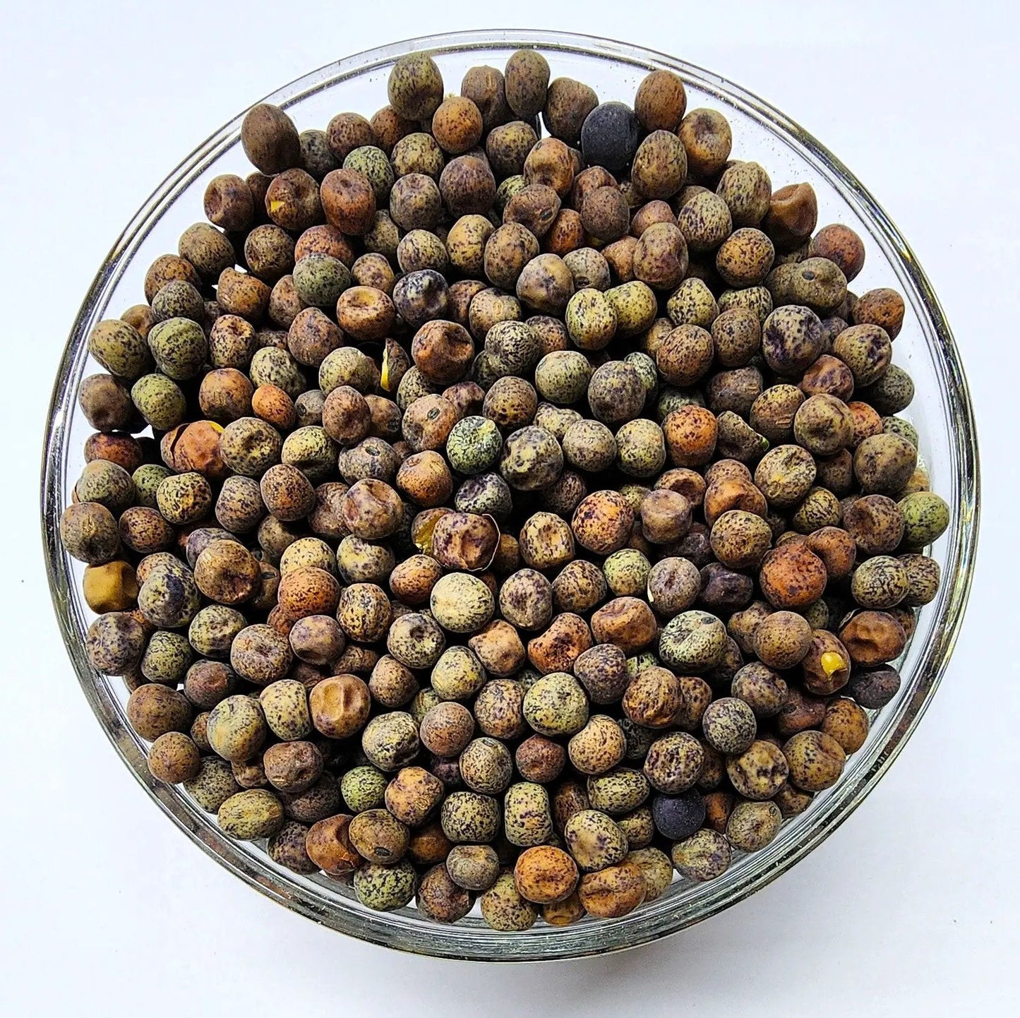 Spring Field Peas OG