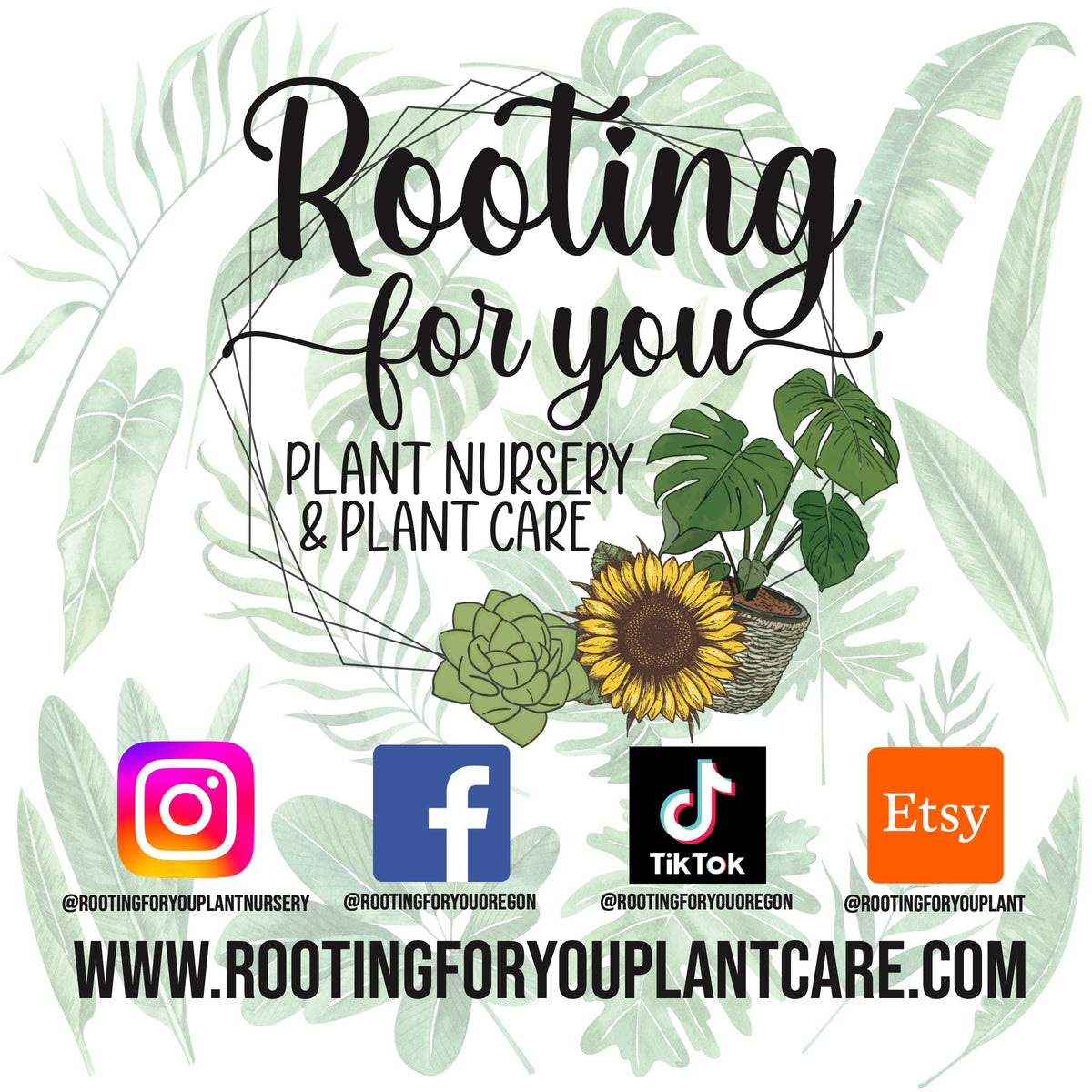 CALATHEA Premium Potting Mix