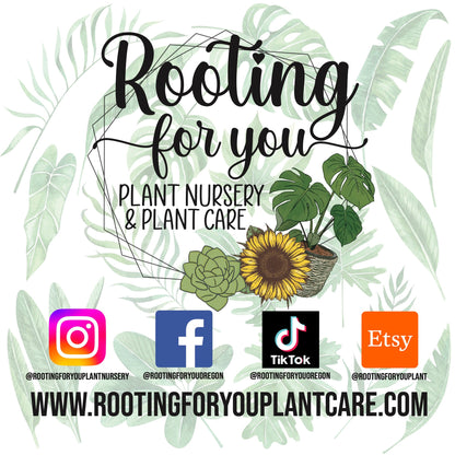 CALATHEA Premium Potting Mix
