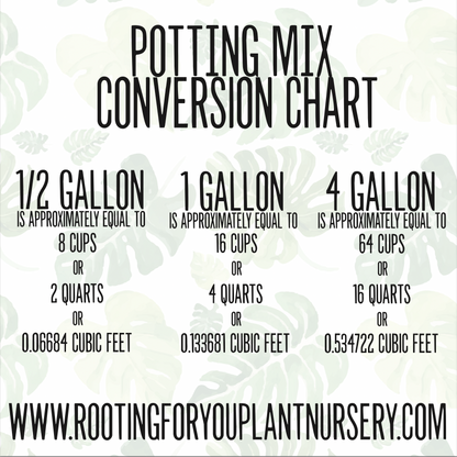 Amydrium Premium Potting Mix