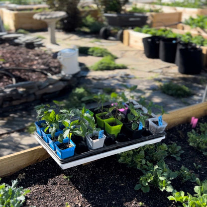 Seed Starter Pots - 2.5" Extra Strength - Midwest Grow LLC