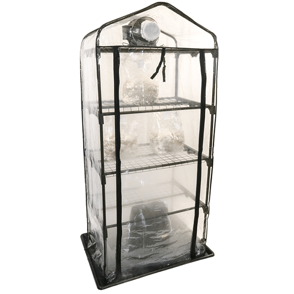 ShroomRoom: Mushroom Grow Tent