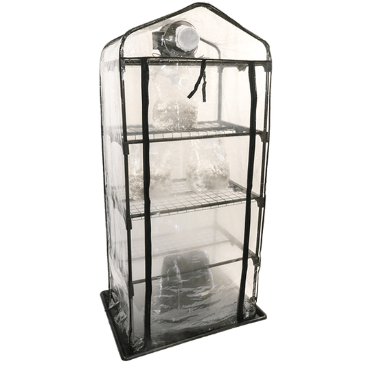 ShroomRoom: Mushroom Grow Tent