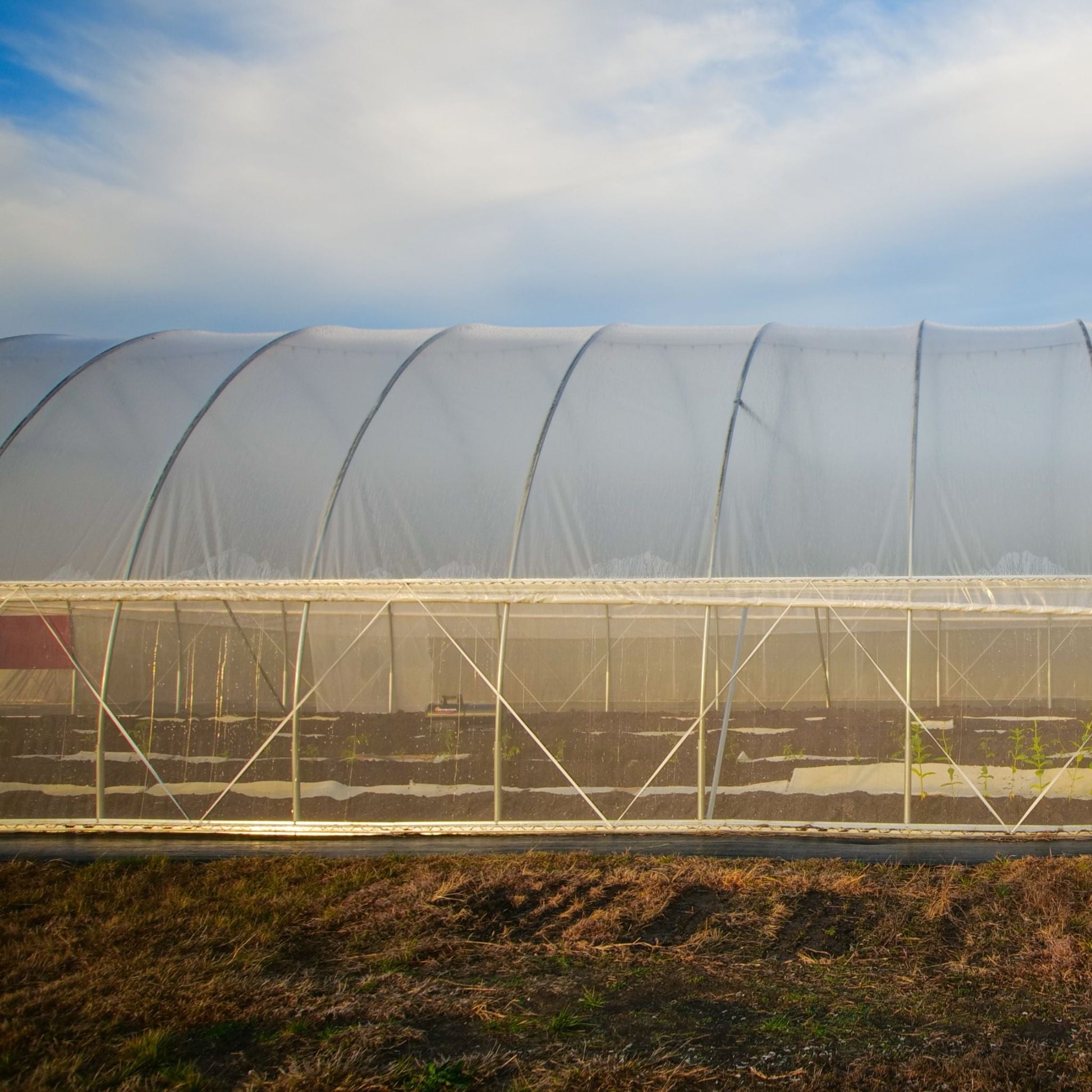 DIY Greenhouse Roll-Up Side Curtain Kit - Midwest Grow LLC