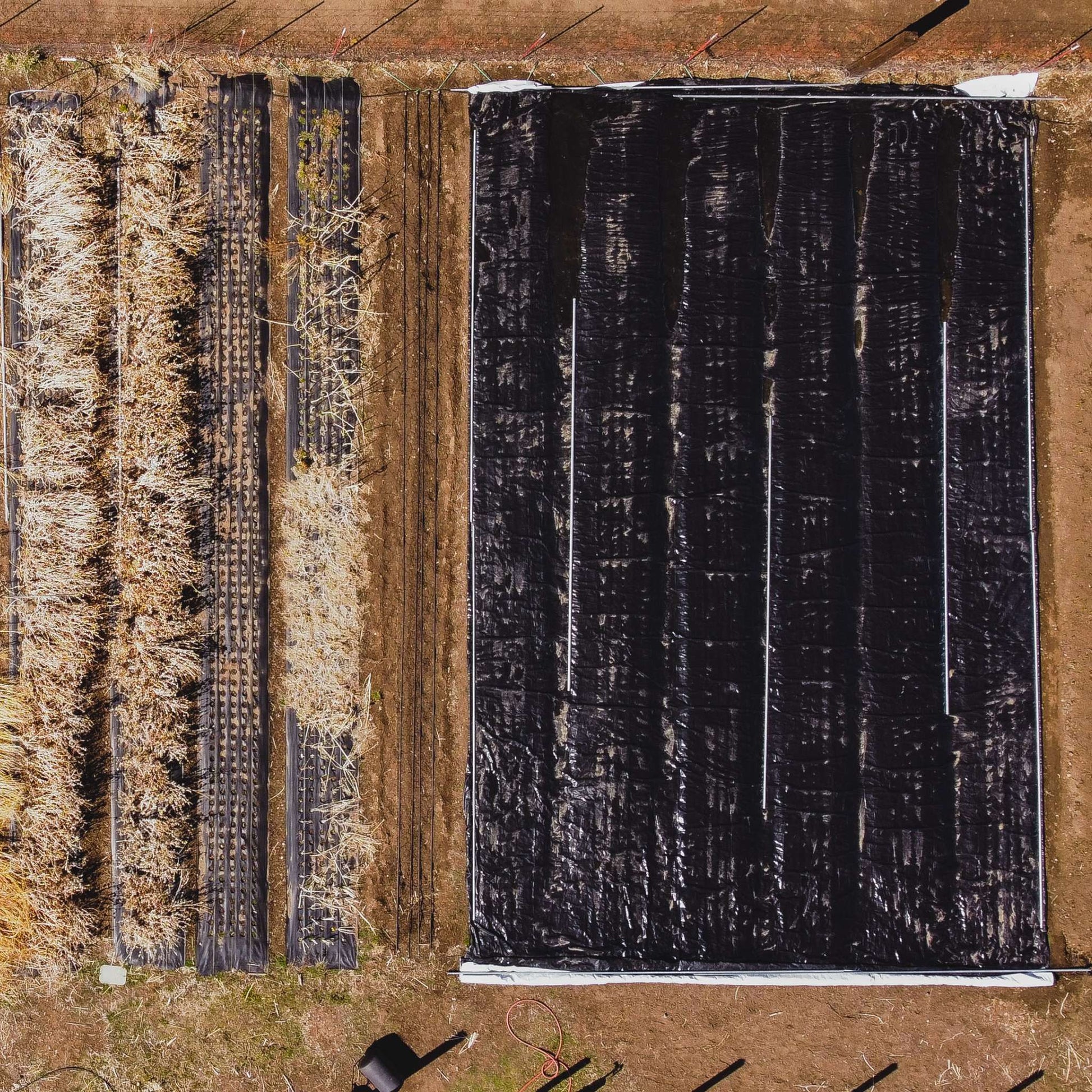 Silage Tarp - 6 mil Reversible Black & White - Midwest Grow LLC