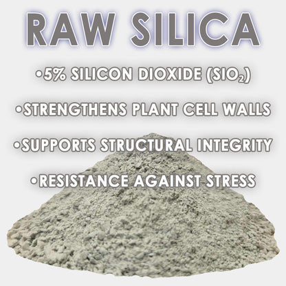 RAW Silica | 45% Silicon Dioxide | pH Neutral Biogenic Silica - Midwest Grow LLC