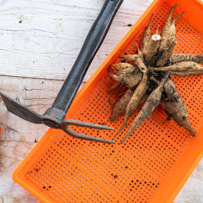 Small Hand Dual Function Garden Hoe With Fork - Midwest Grow LLC