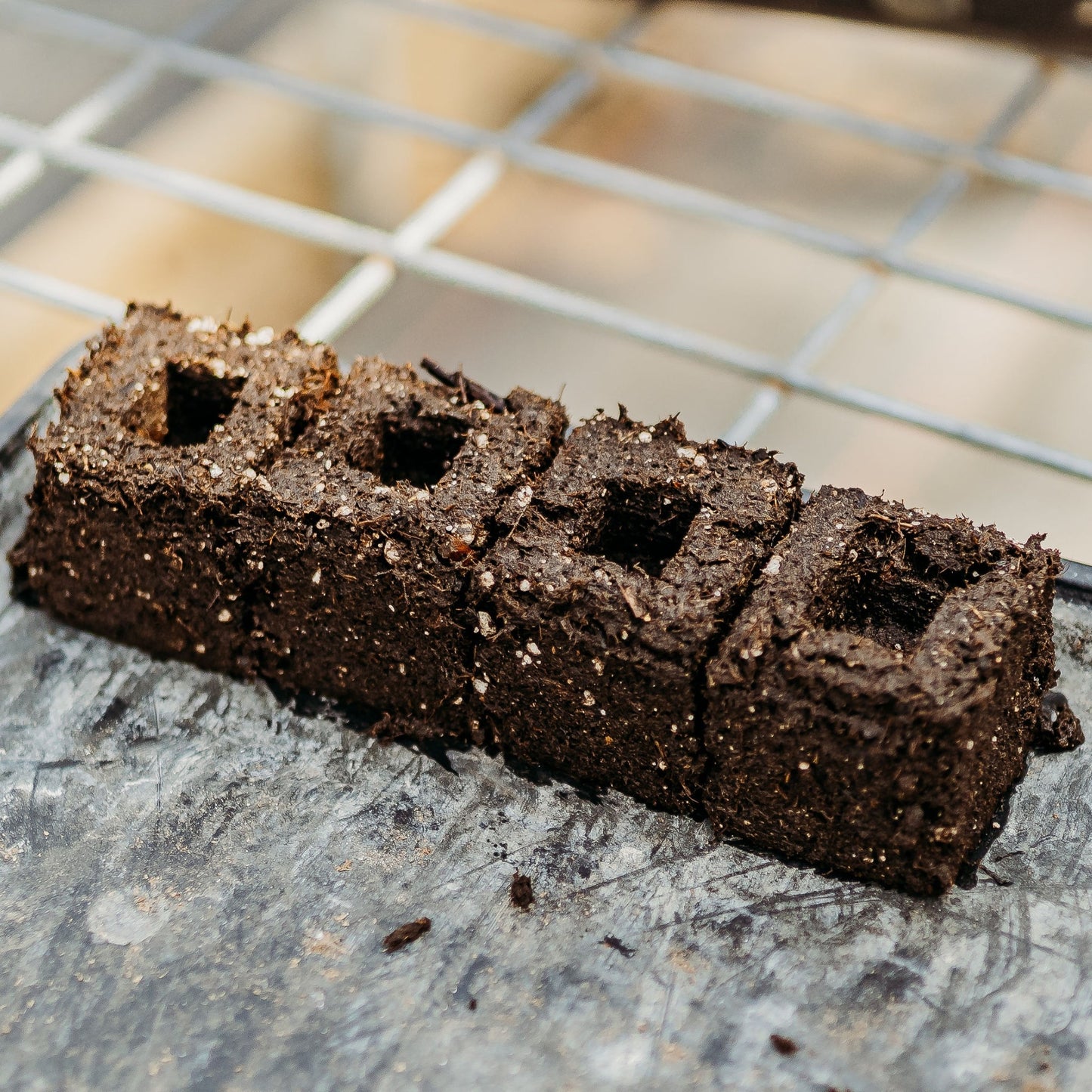 Ladbrooke Soil Blocker Insert Pins - 3/4" Cubic Pins (Set of 4) - Bootstrap Farmer - Midwest Grow LLC