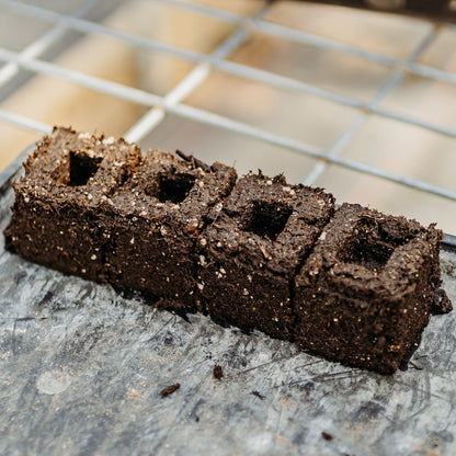 Ladbrooke Soil Blocker Insert Pins - 3/4" Cubic Pins (Set of 4) - Bootstrap Farmer - Midwest Grow LLC