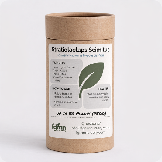 Stratiolaelaps Scimitus - Midwest Grow LLC
