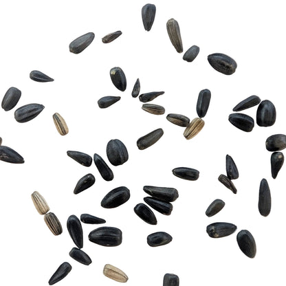 Summer Breeze Branching Sunflower Seed