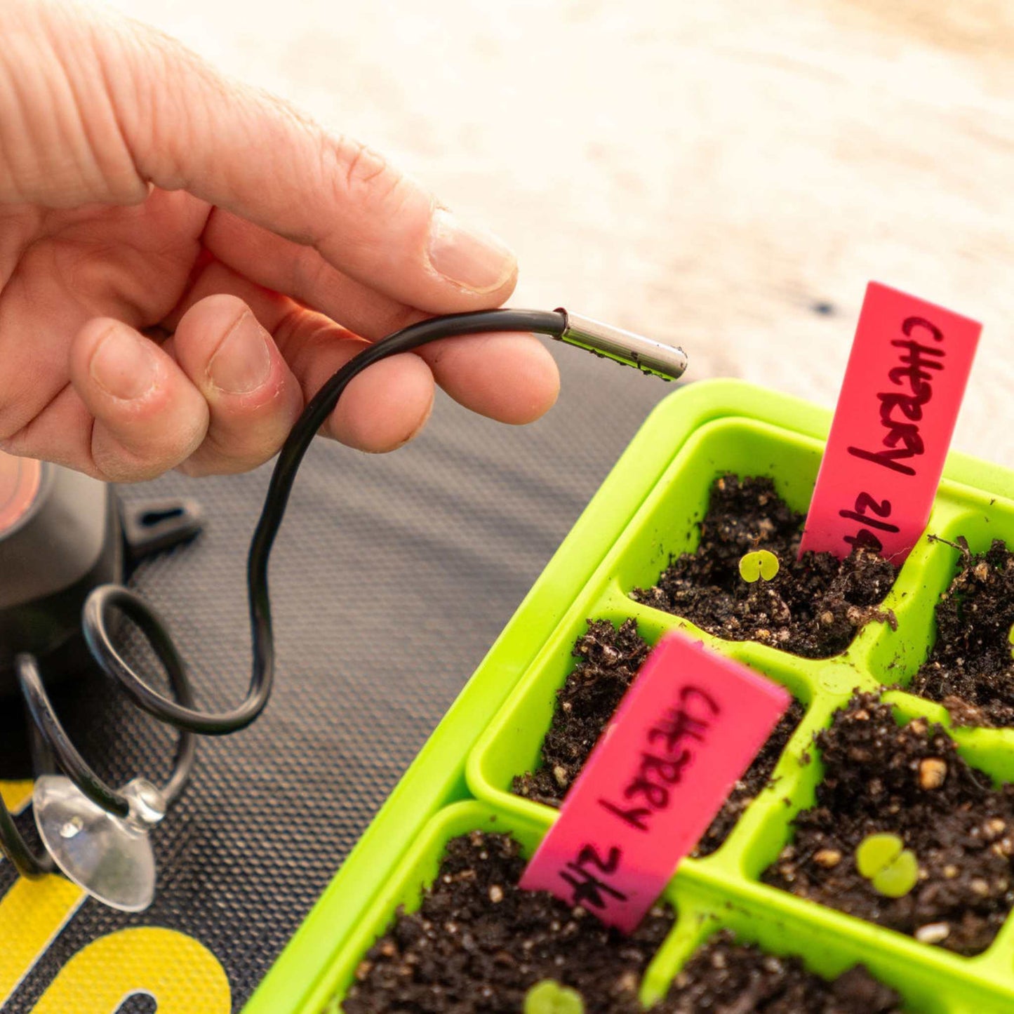Seedling Heat Mat Temperature Controller - Midwest Grow LLC