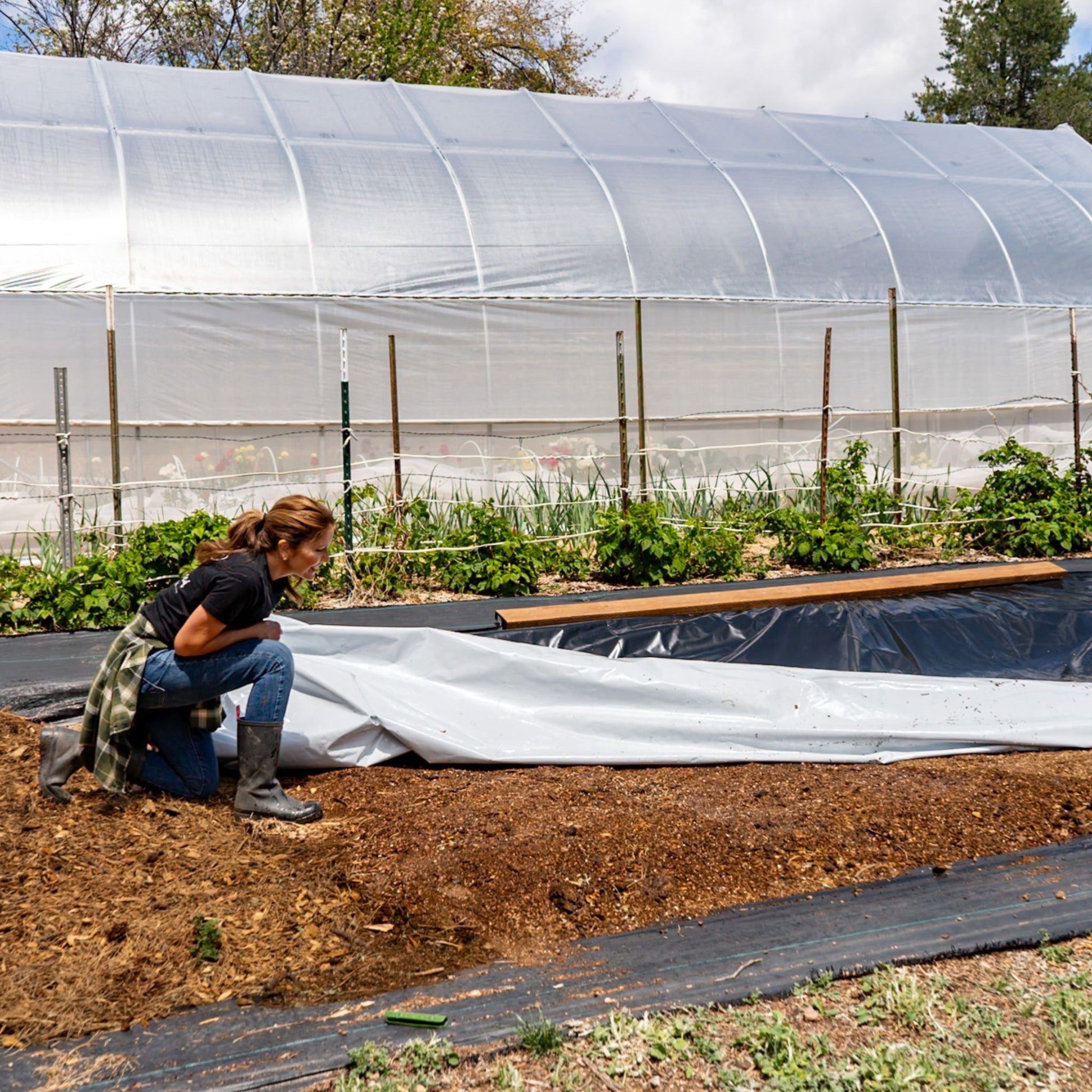 Silage Tarp - 6 mil Reversible Black & White - Midwest Grow LLC