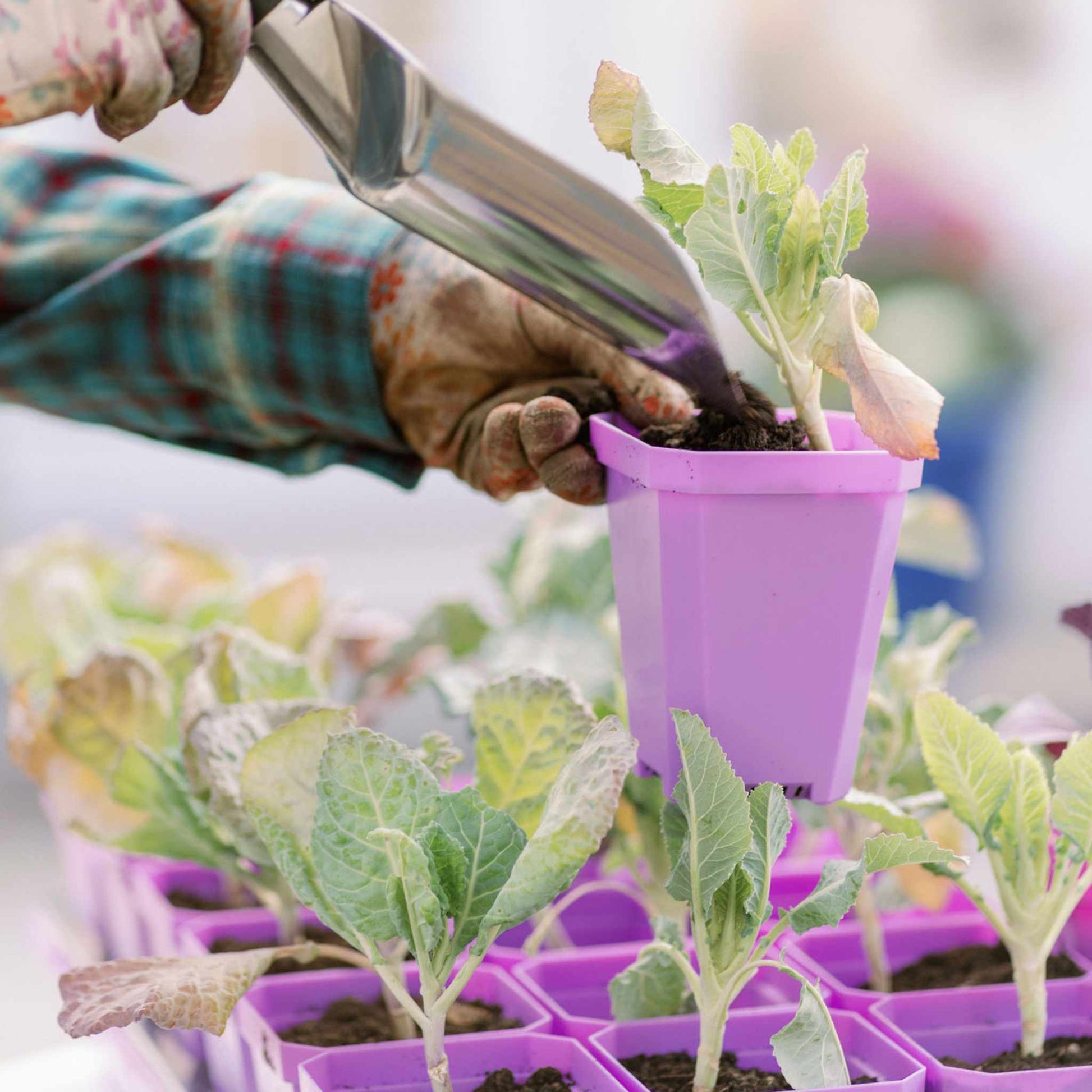 3.3" Heavy Duty Seed Starting Pots with Inserts - Midwest Grow LLC