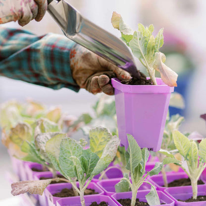 3.3" Heavy Duty Seed Starting Pots with Inserts - Midwest Grow LLC