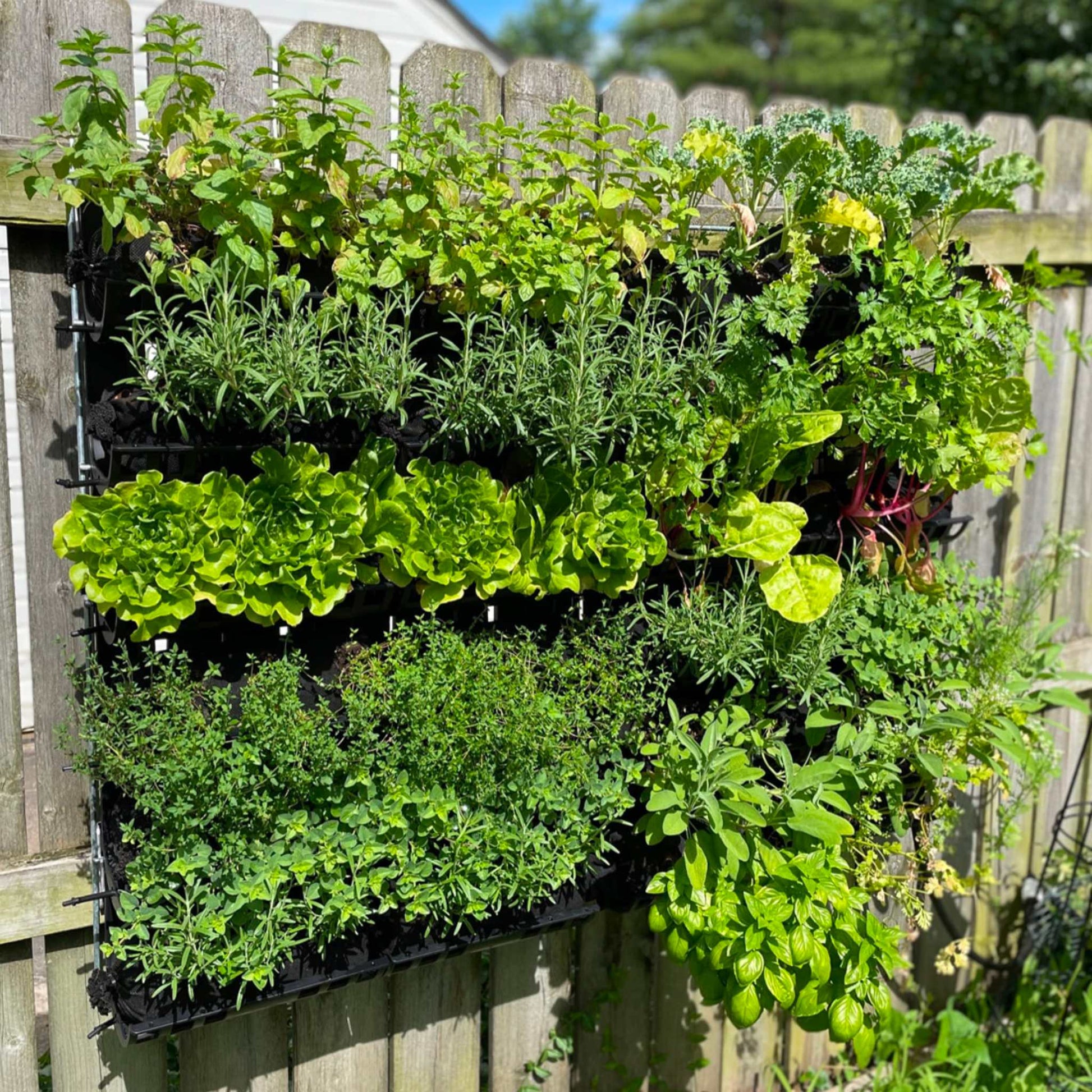 Varden™ Kitchen Garden - Midwest Grow LLC