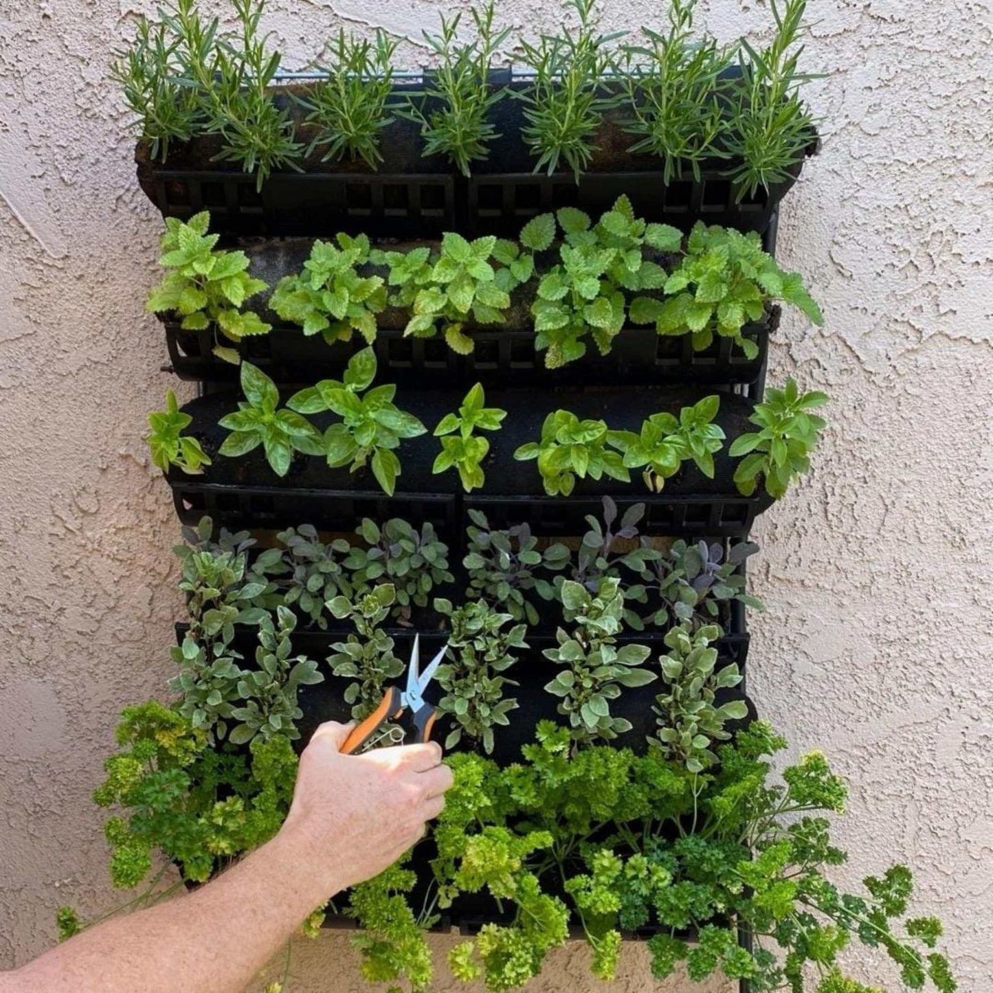 Varden™ Kitchen Garden - Midwest Grow LLC