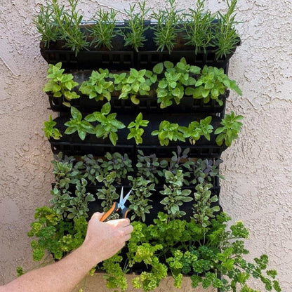 Varden™ Kitchen Garden - Midwest Grow LLC